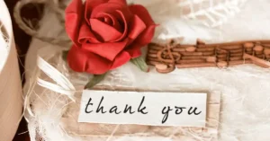 Thank You For Your Patience During Construction Thank You For Your Patience During Construction